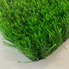 FW-Turf Landscape-Spring-C-35-070-24