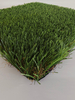 FW-ພູມສັນຖານ Turf-Olive-W-35-100-15