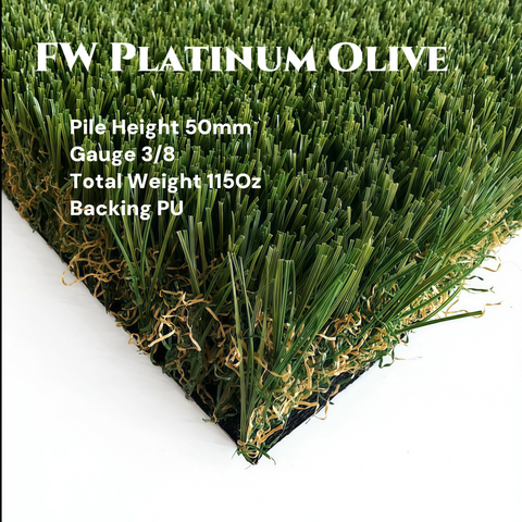 C&Eacute;SPED DE OLIVO FORWARD PLATINUM